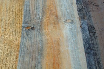 Blue stain in a radiata pine board