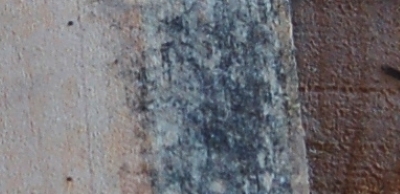 Surface mould on a damp board