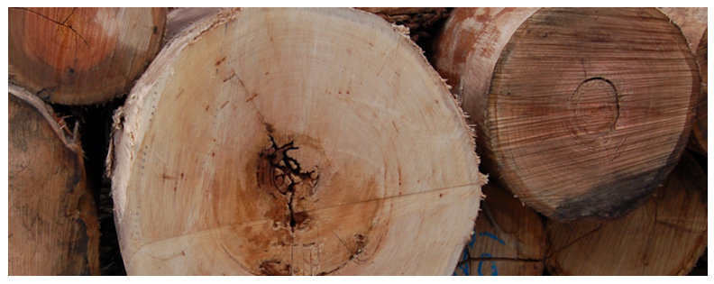 Hardwood logs with less obvious growth rings